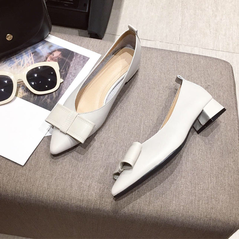 Luxury Pointed Heel – Elegant & Timeless